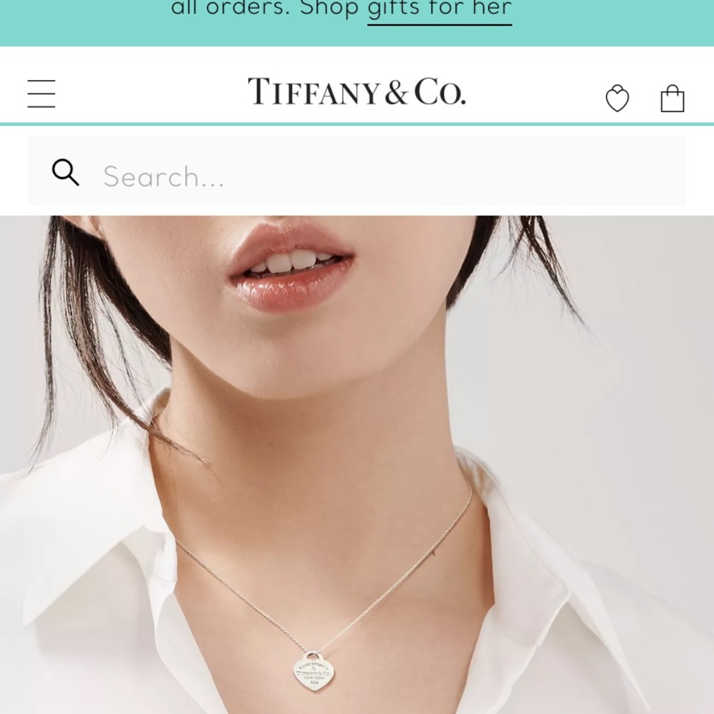 Tiffany & Co Necklace
